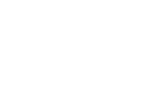 PPP logo bianco